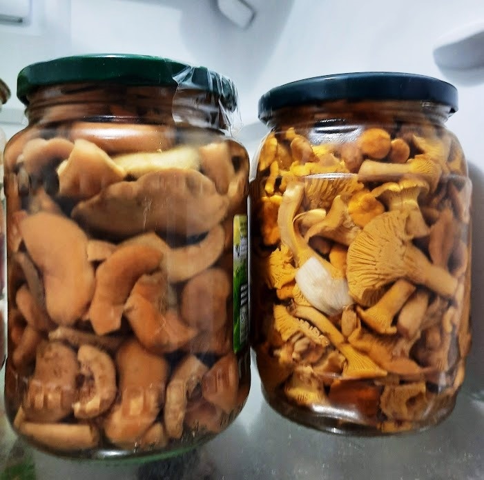 маринованные грибы в банках