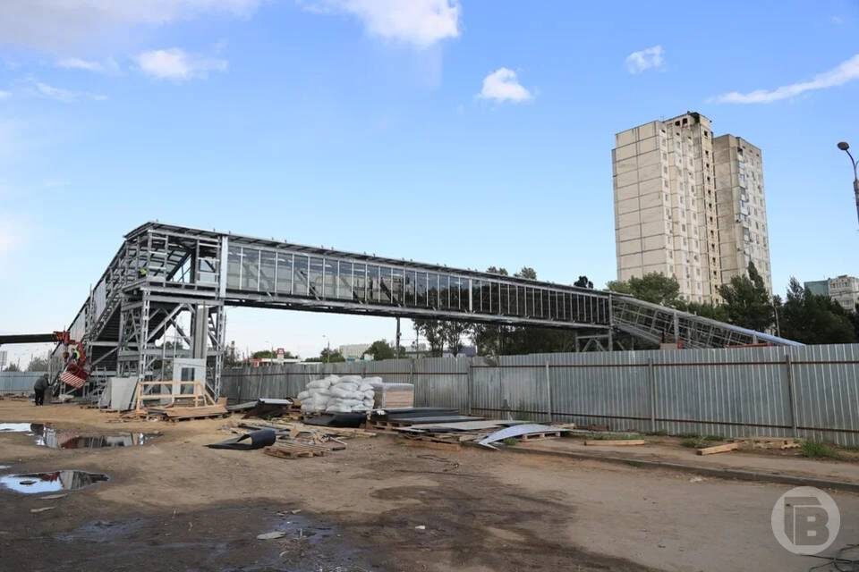    Фото: Дмитрий Рогулин / "Городские вести"