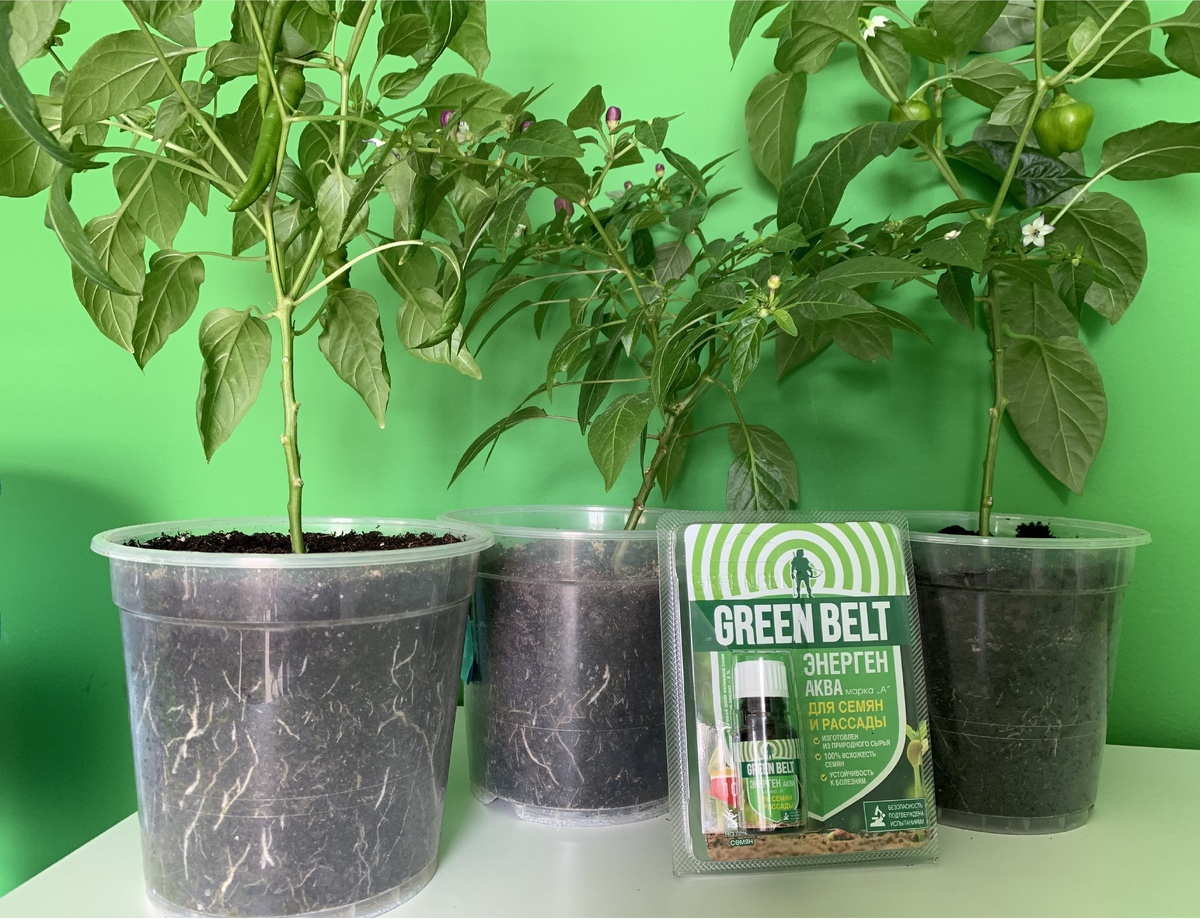    «Энерген Аква»