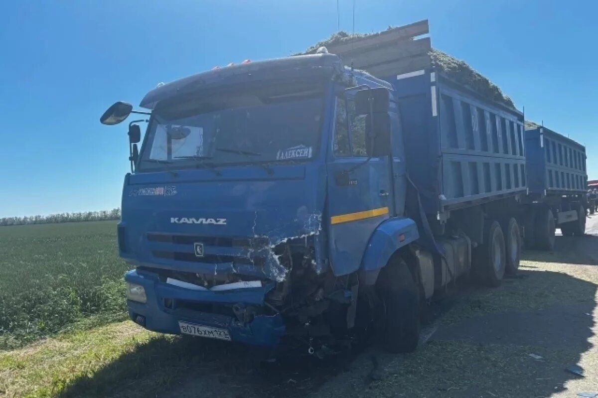    На Кубани организовали проверку по факту гибели троих мужчин в ДТП