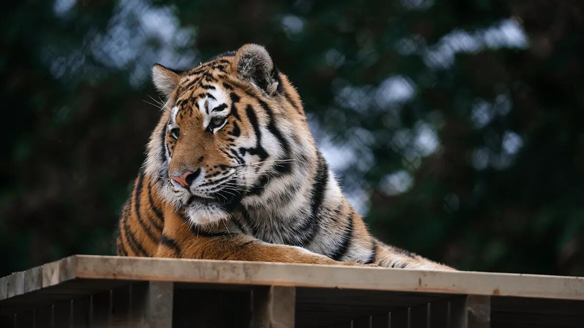    Фото: vm.ru Полина Белоусова