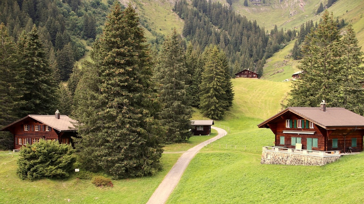 Фото взято с Pixabay