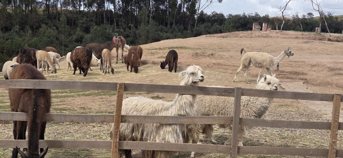 Фото Марины