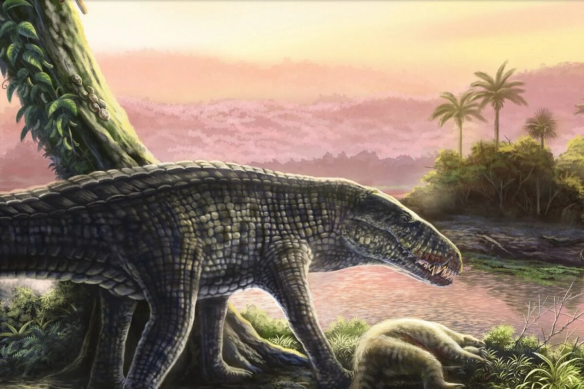 Фото: Jorge Machuky, Florida Museum image