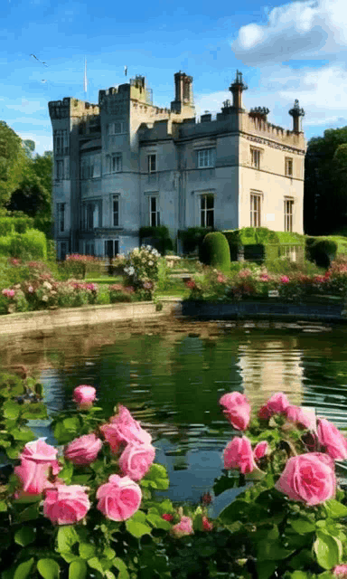 Фото автора сделано с уважением 