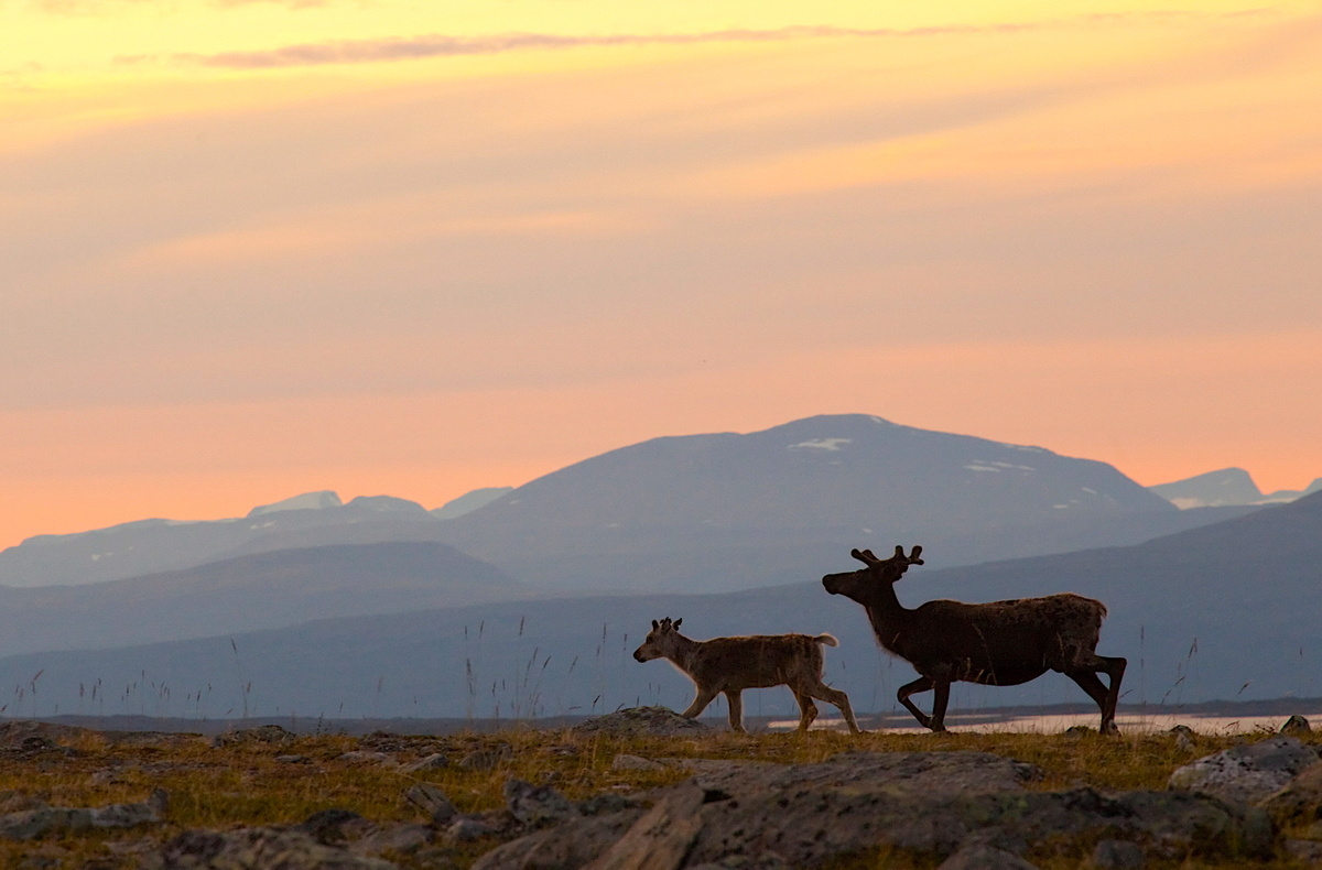 Фото: Андрей Подкорытов / GeoPhoto