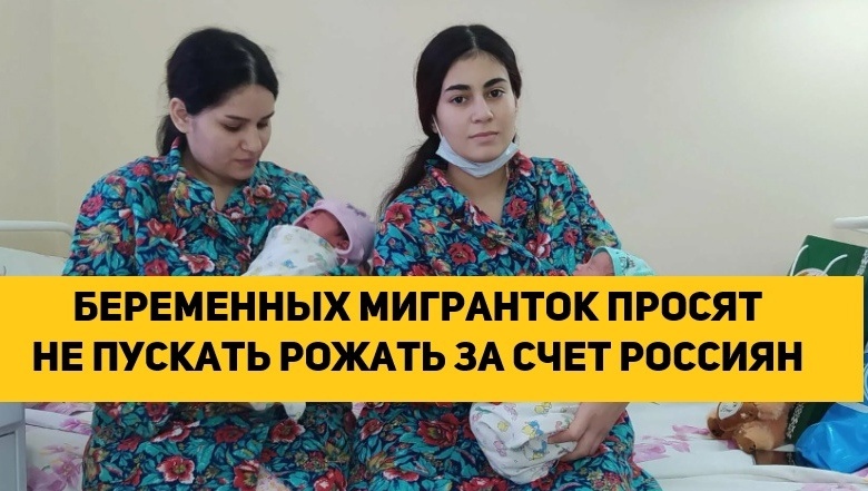 Фото взято из интернета