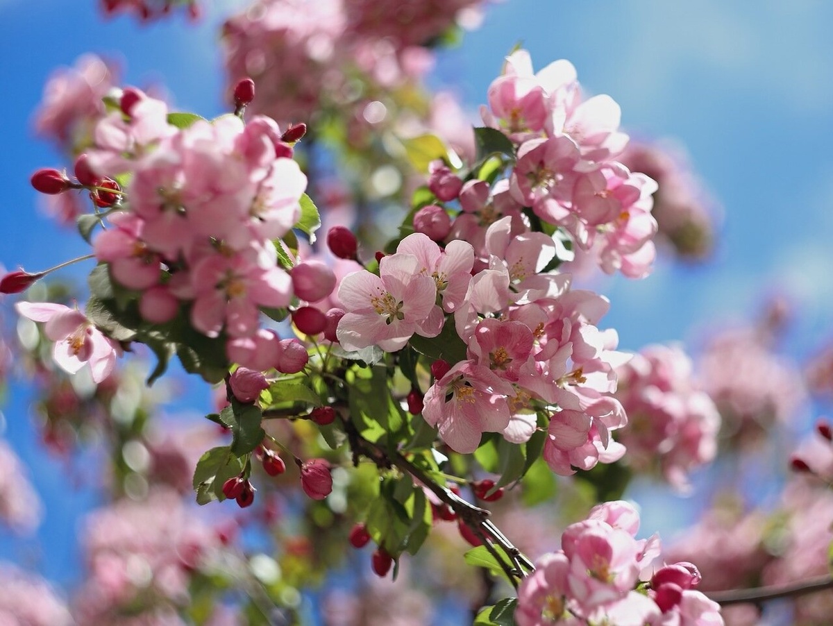 Фото из Интернета.