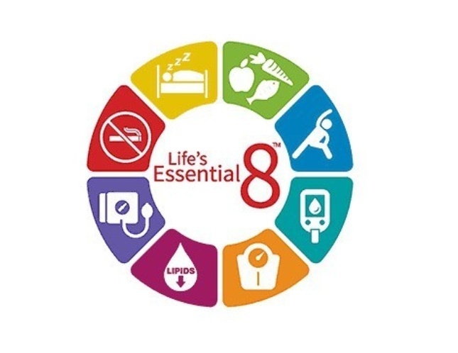 Восемь факторов здорового образа жизни