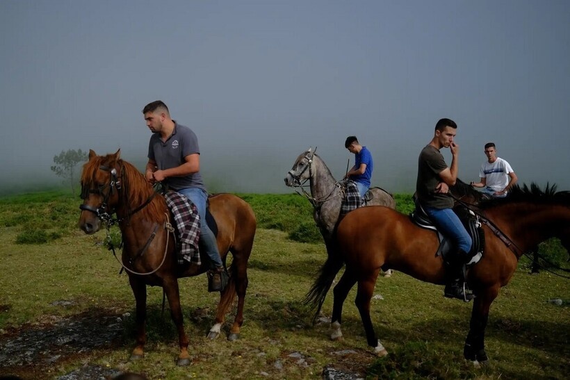    14 фото с испанского праздника, во время которого отлавливают диких лошадей