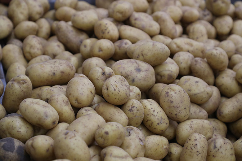    Сергей Петров/NEWS.ru