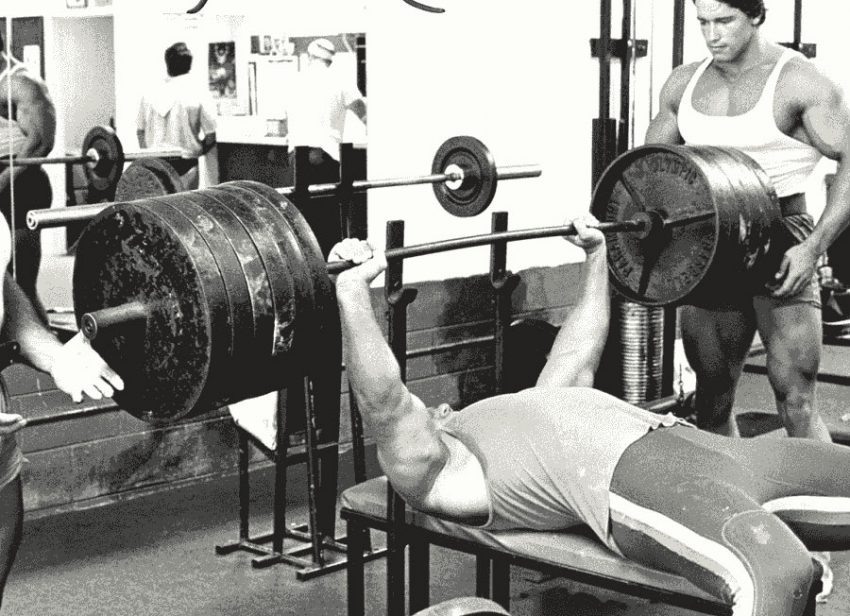 жим это целое искусство 