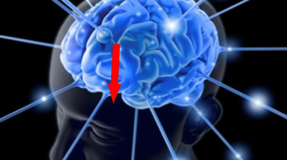    Дежавю в стрессе — сбой мозга или ключ к параллельным мирам