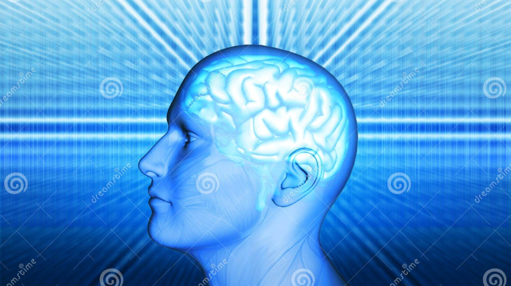    Дежавю в стрессе — сбой мозга или ключ к параллельным мирам