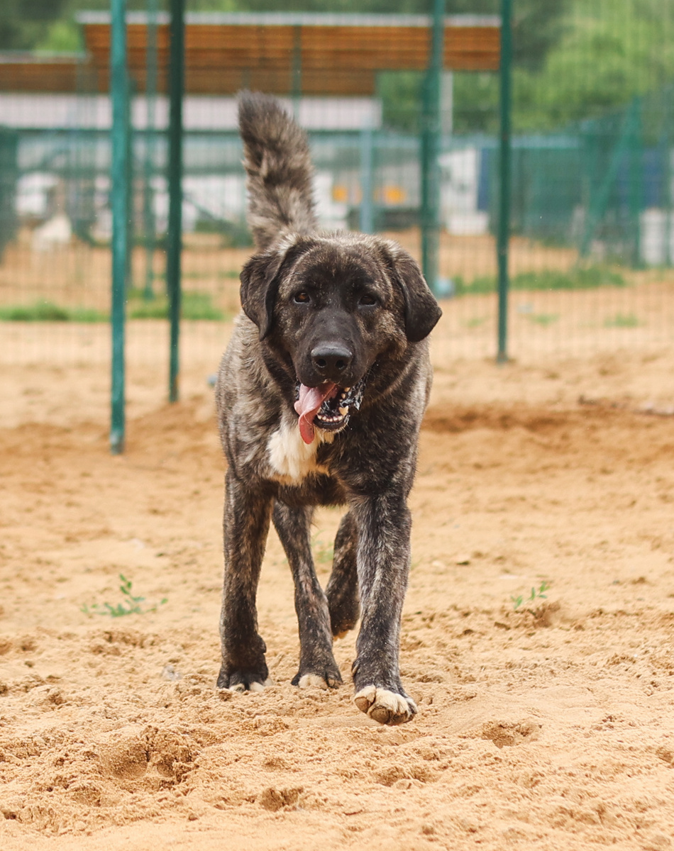 Бегу скорее обнимать, кто открыл мою статью
