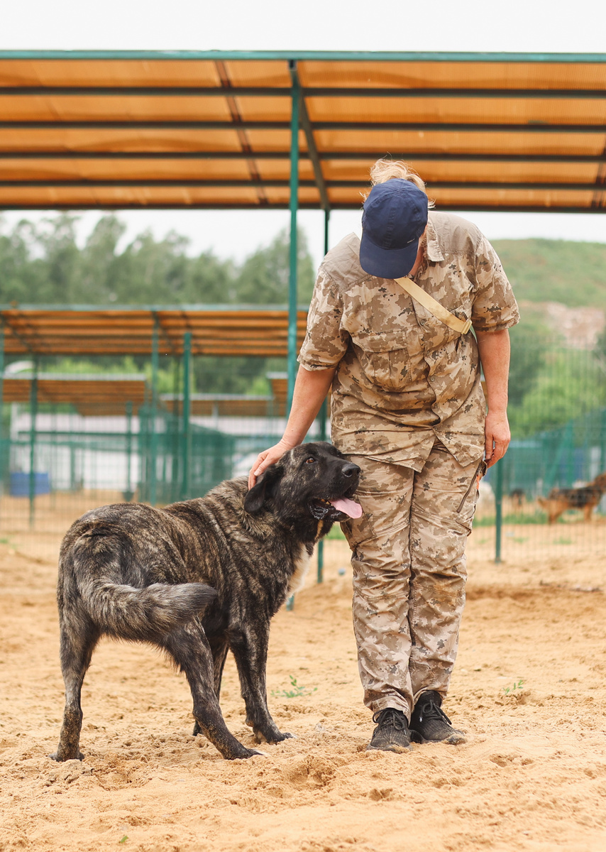 А я хочу их догнать и обнять