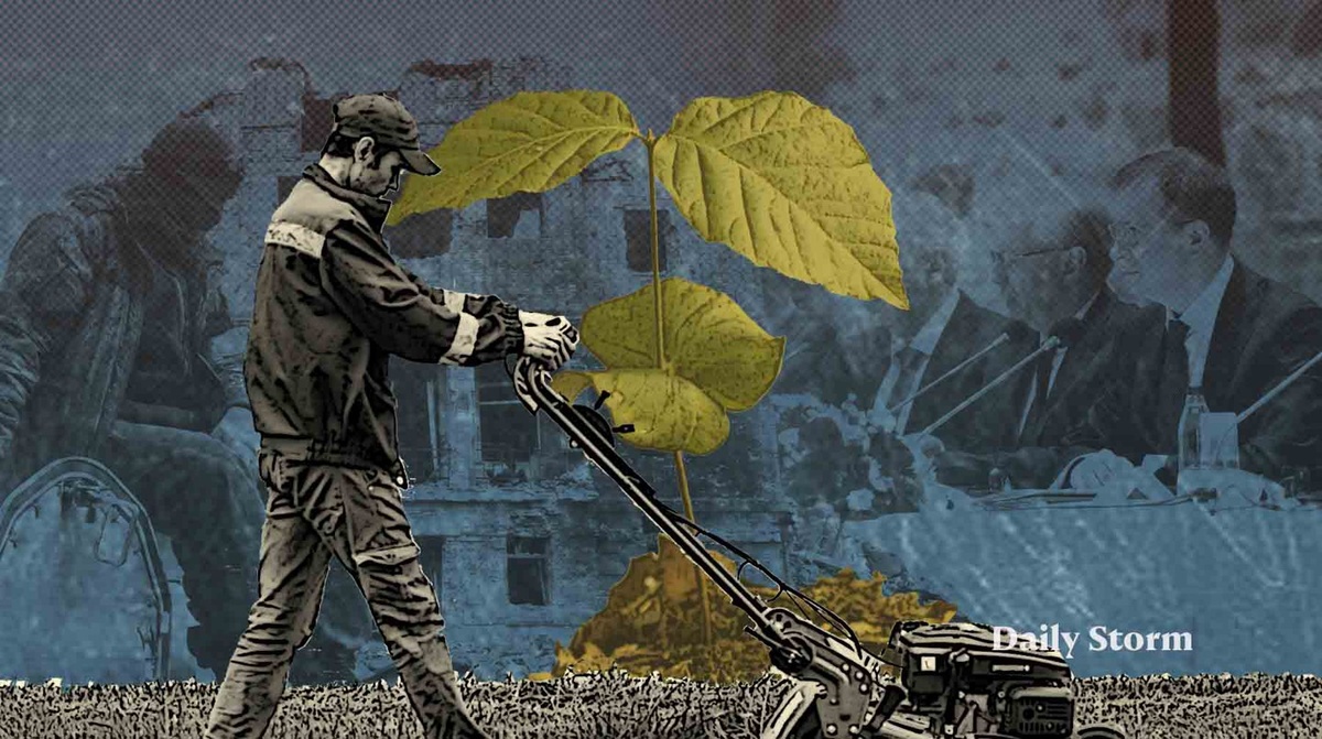    Коллаж: Daily Storm