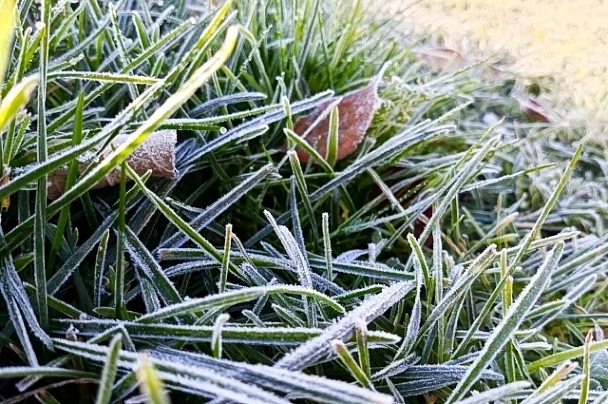    МЧС предупреждает ульяновцев о ночных заморозках 23 и 24 мая