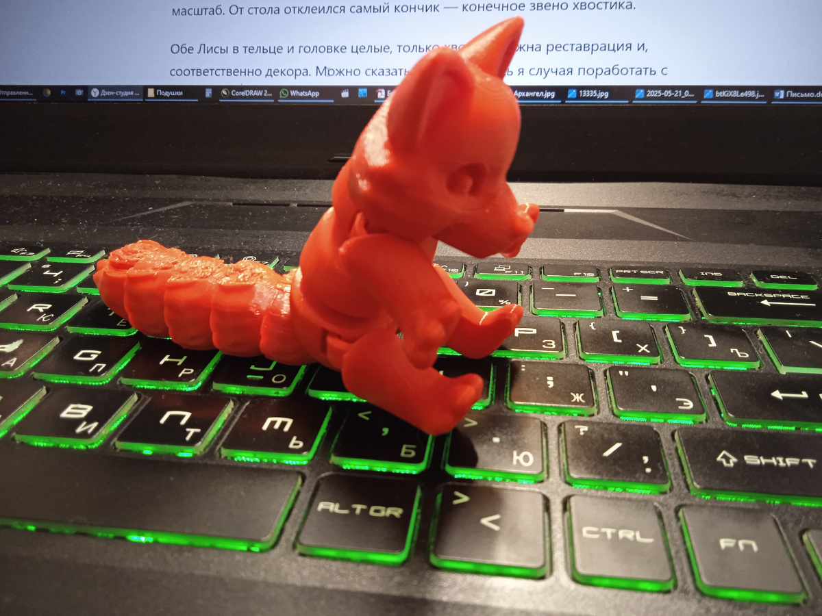 Фото автора. Лиса первая.