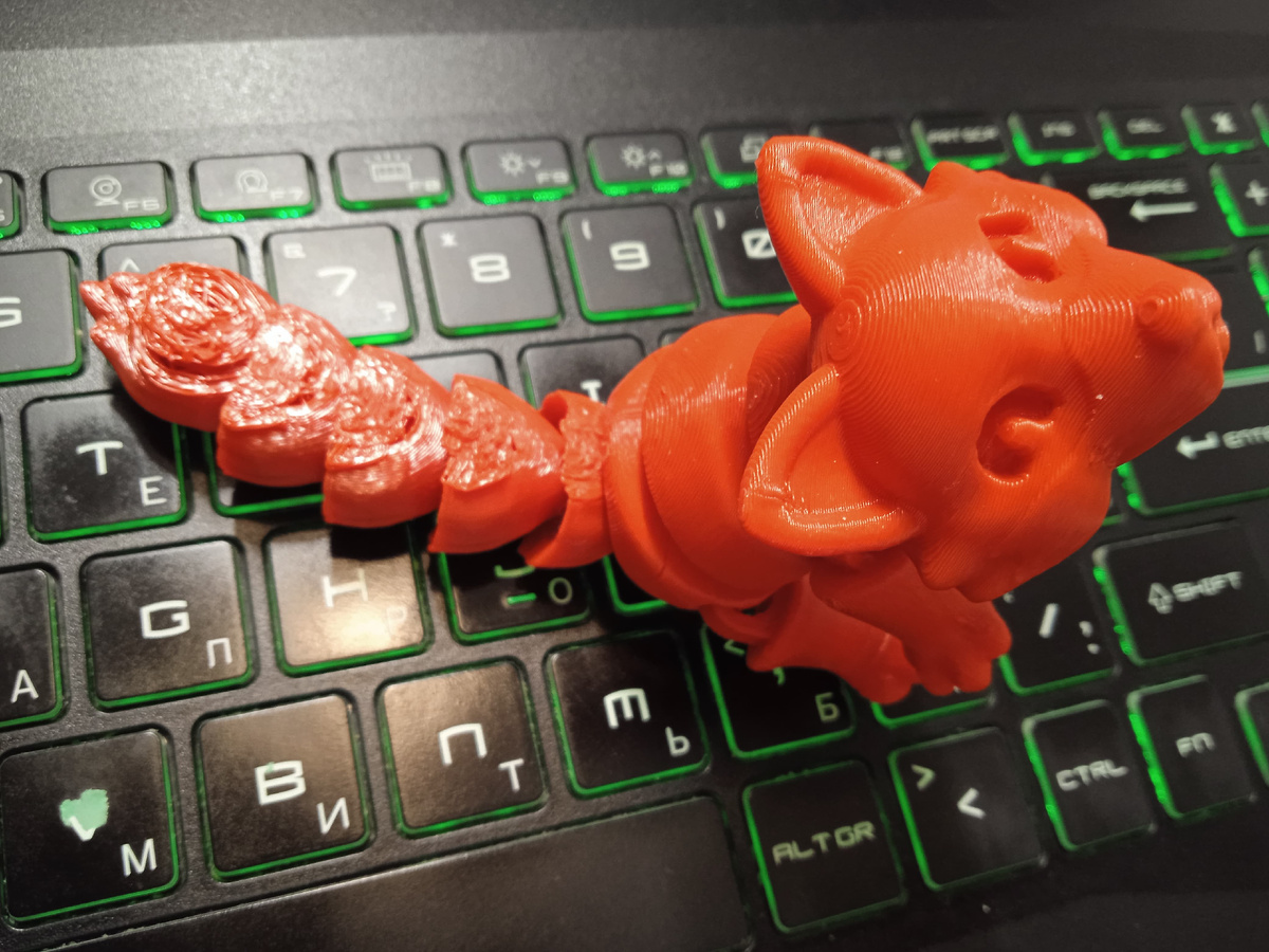 Фото автора. Лиса первая.