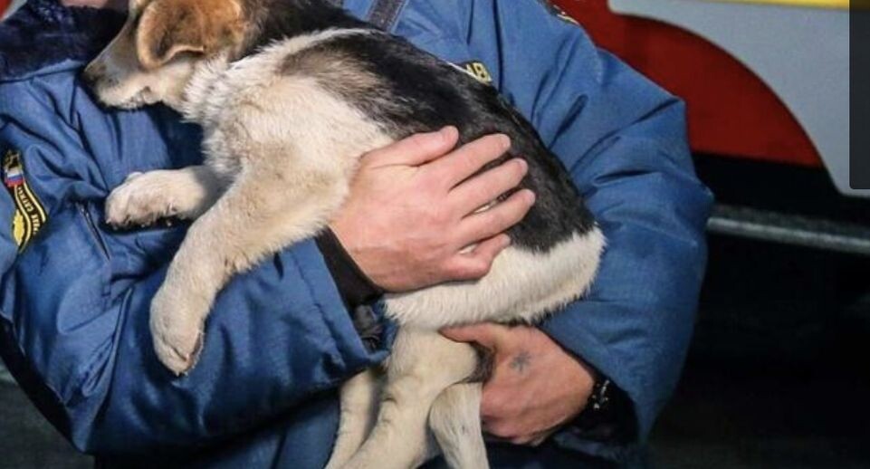    Пресс-служба МЧС