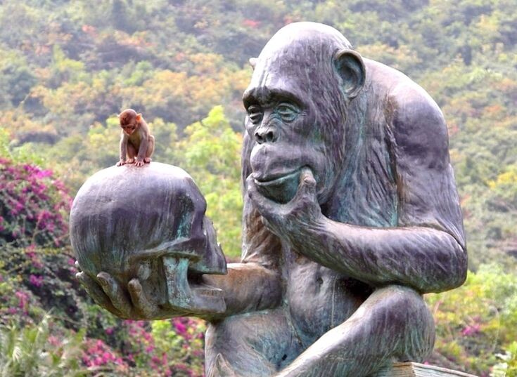 Фото взято из открытых источников.