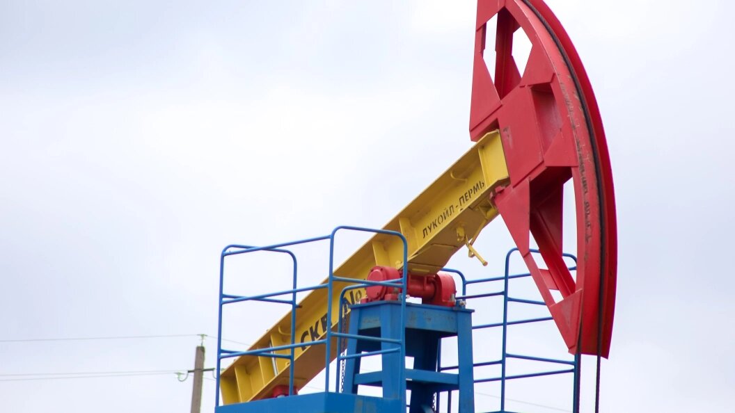    Фото: Elena Mayorova/Globallookpress