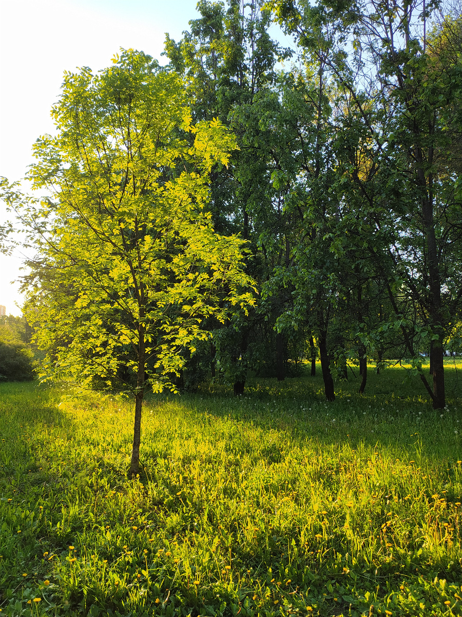 Реально - лето!