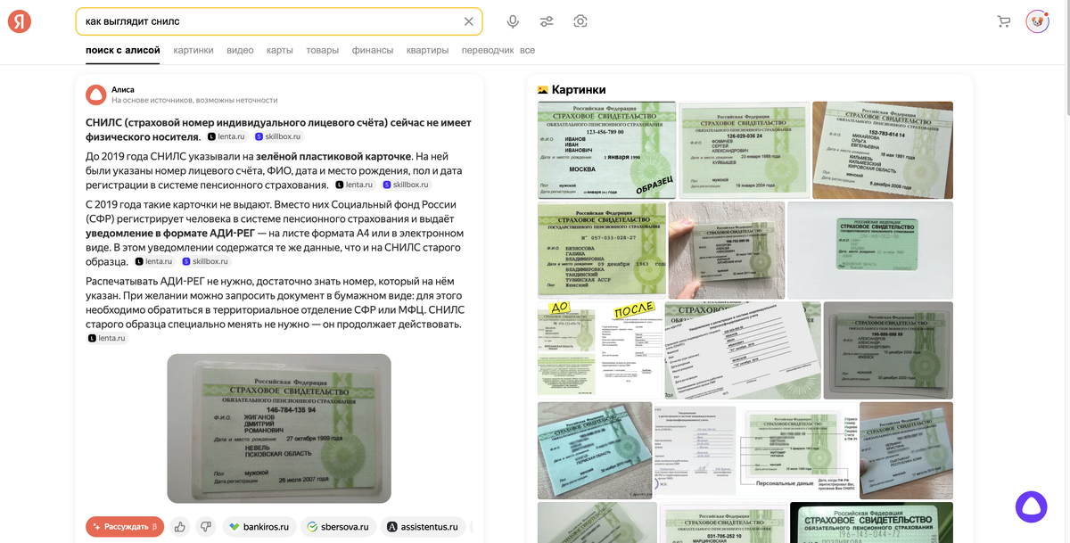 Картинка прямо в Поиске с Алисой