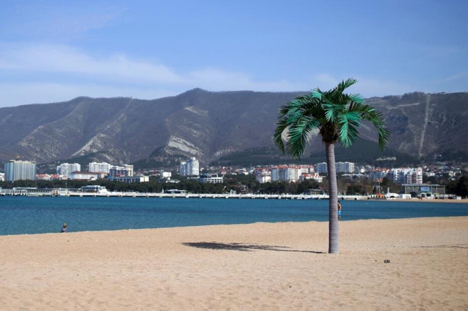    Виталий Тимкив/РИА Новости