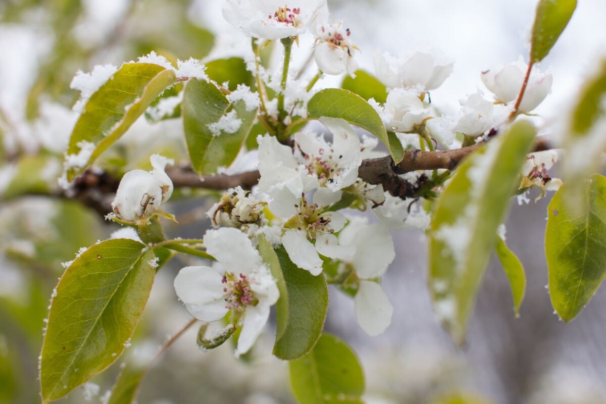Фото: Svetlana Vysokos / GettyImages