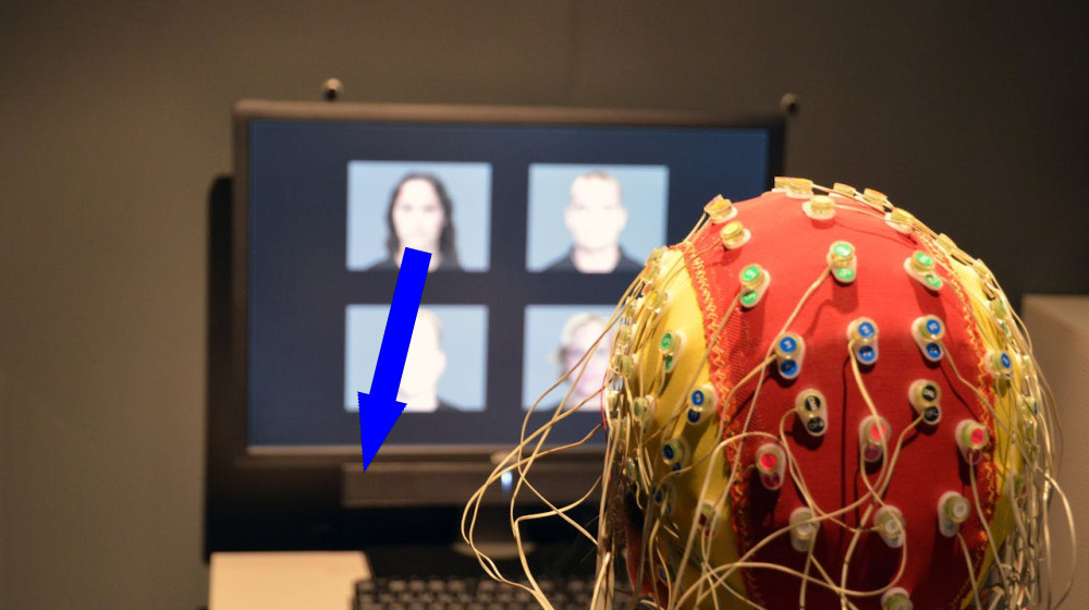    Смех как вирус почему мы не можем устоять перед зеркальными нейронами