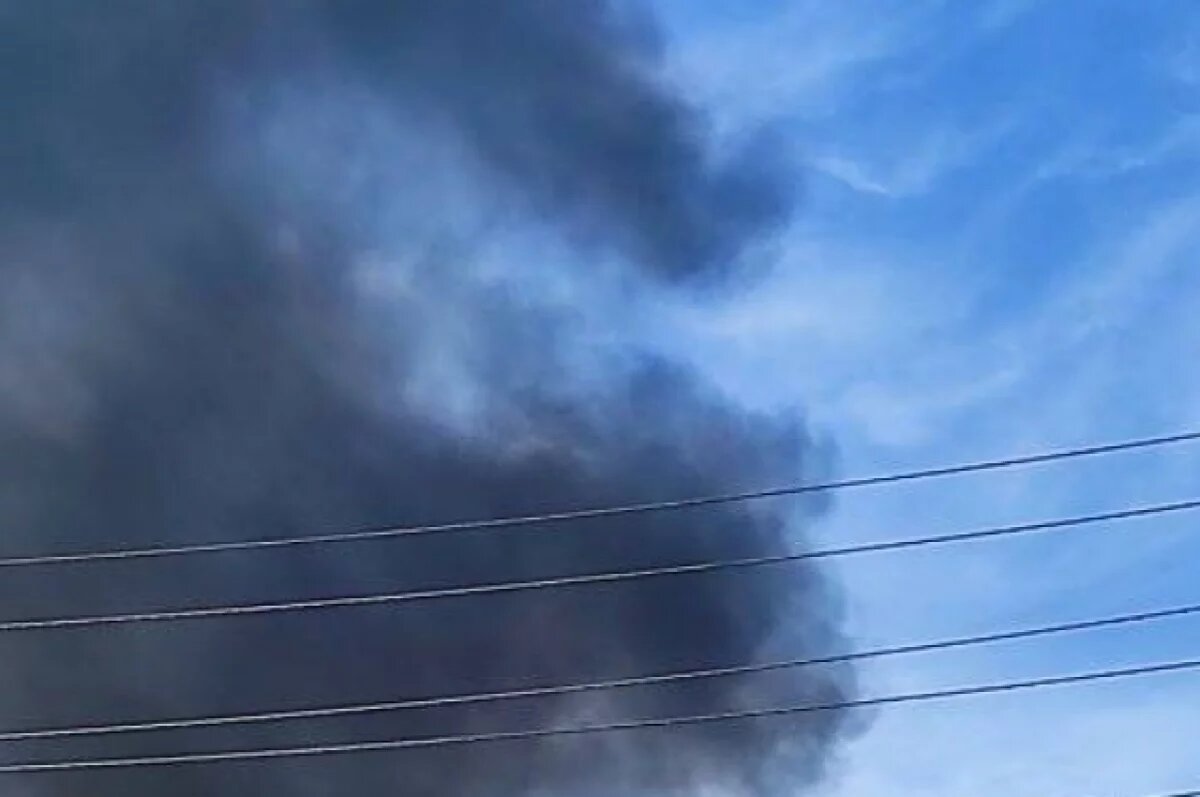    За зданием выставочного центра горел мусор.