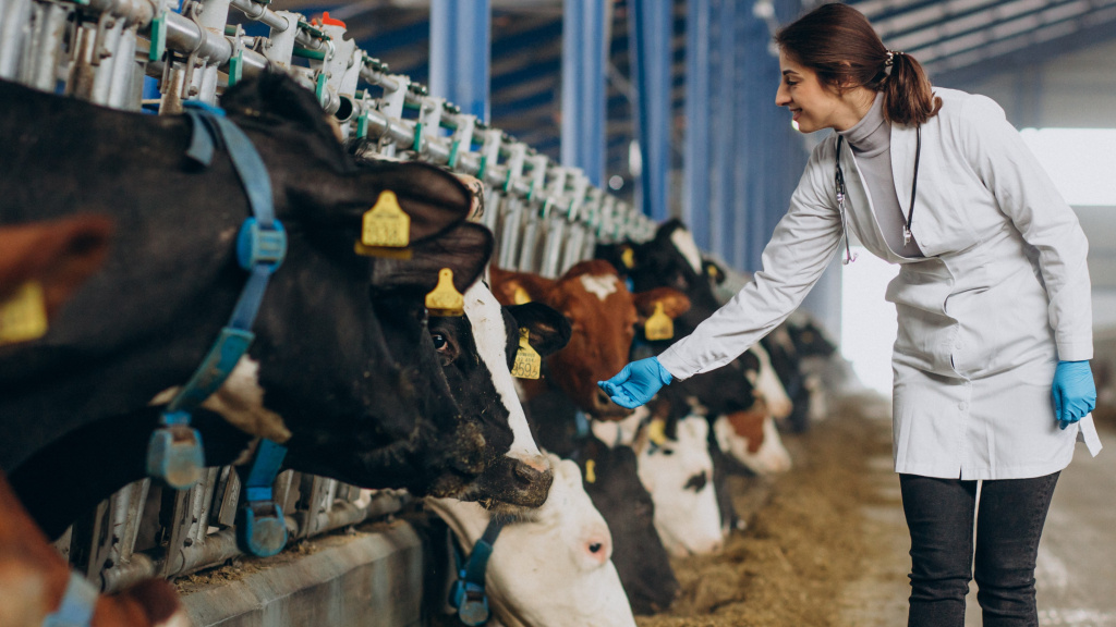    Правительство Югры увеличило ставки на субсидии для животноводов Арктической зоны