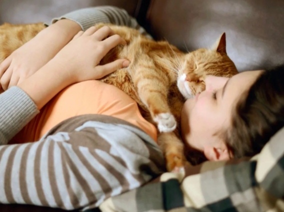 Почему кошка часто ложится на хозяина