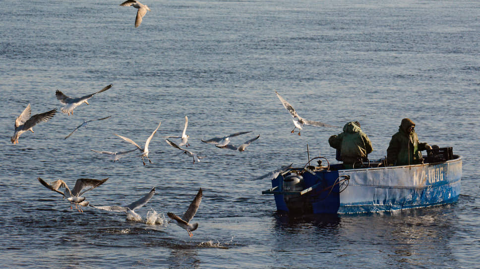 Фото: Марина Мамонтова / Коммерсантъ
