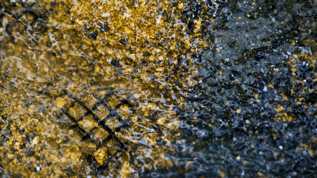    Фото: Georgiy Rozov/Globallookpress