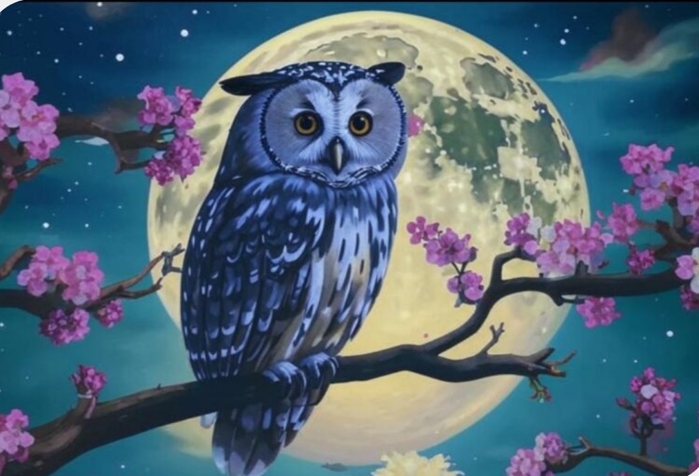 Фото с простор интернета 