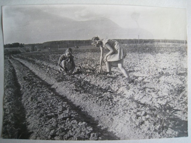 Фото из открытых источников.