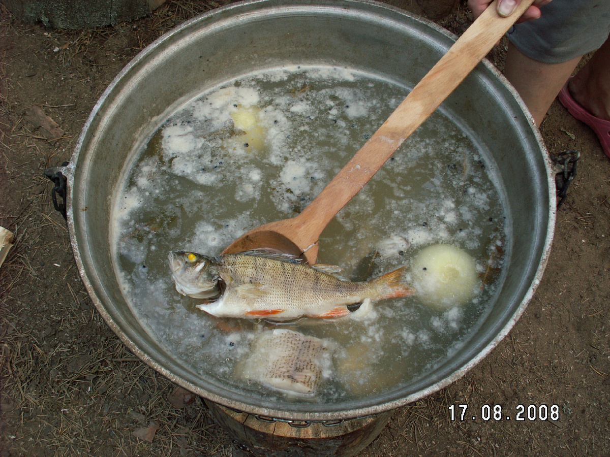 Уха на костре. Фото Тищенко Василий.