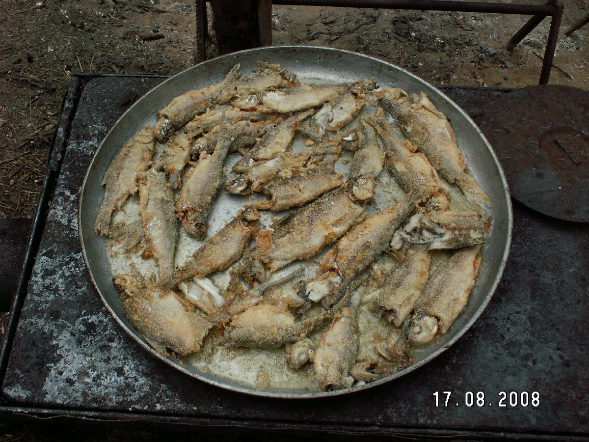 Жареная рыбка. Печь буржуйка, живой огонь. Фото Тищенко Василий.