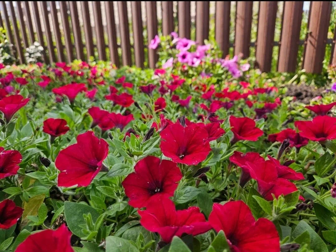 Чтобы сделать такое - надо постараться