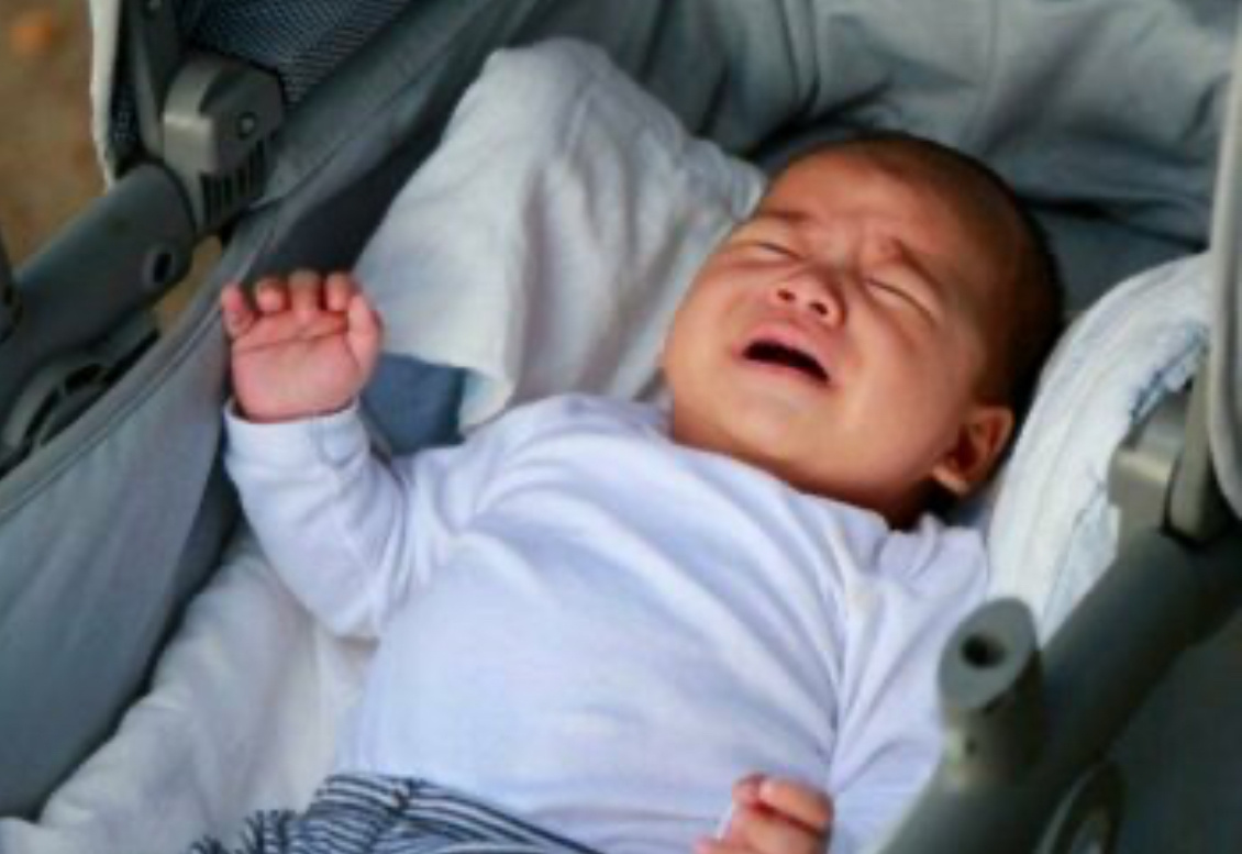 Фото взято из открытых источников интернета 