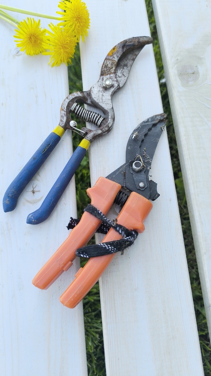 В бычках и паутине...