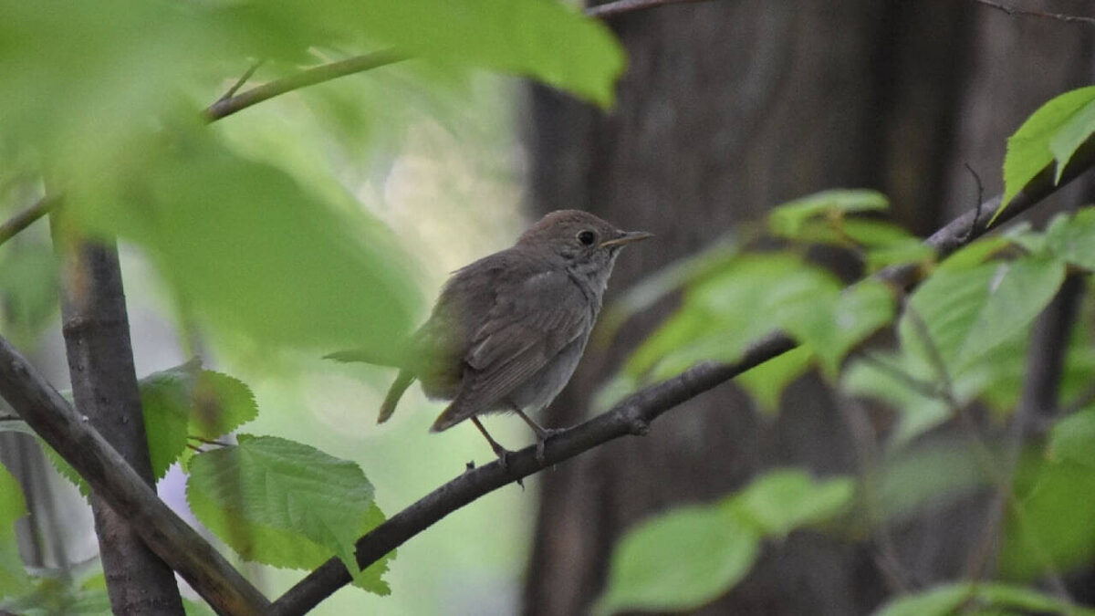 Фото: пресс-служба КФУ