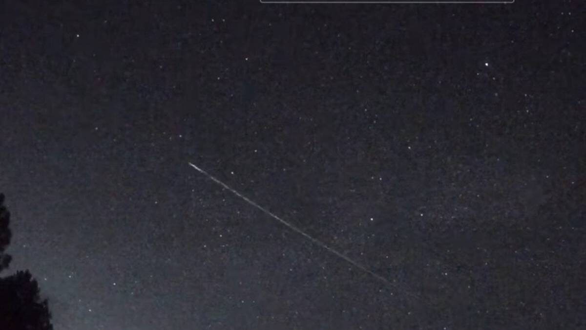    Фото: Скриншот с видео / Telegram / РИА Новости