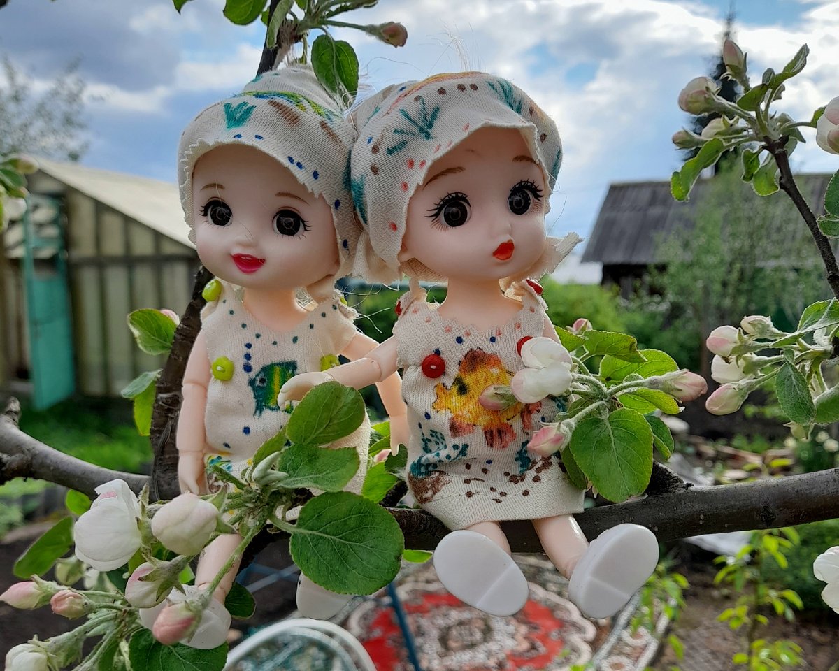 Фото автора канала