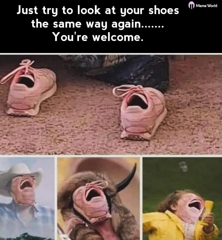 Попробуй теперь смотреть на свою обувь так же, как раньше… Пожалуйста, не благодари. Картинка из открытого источника. 