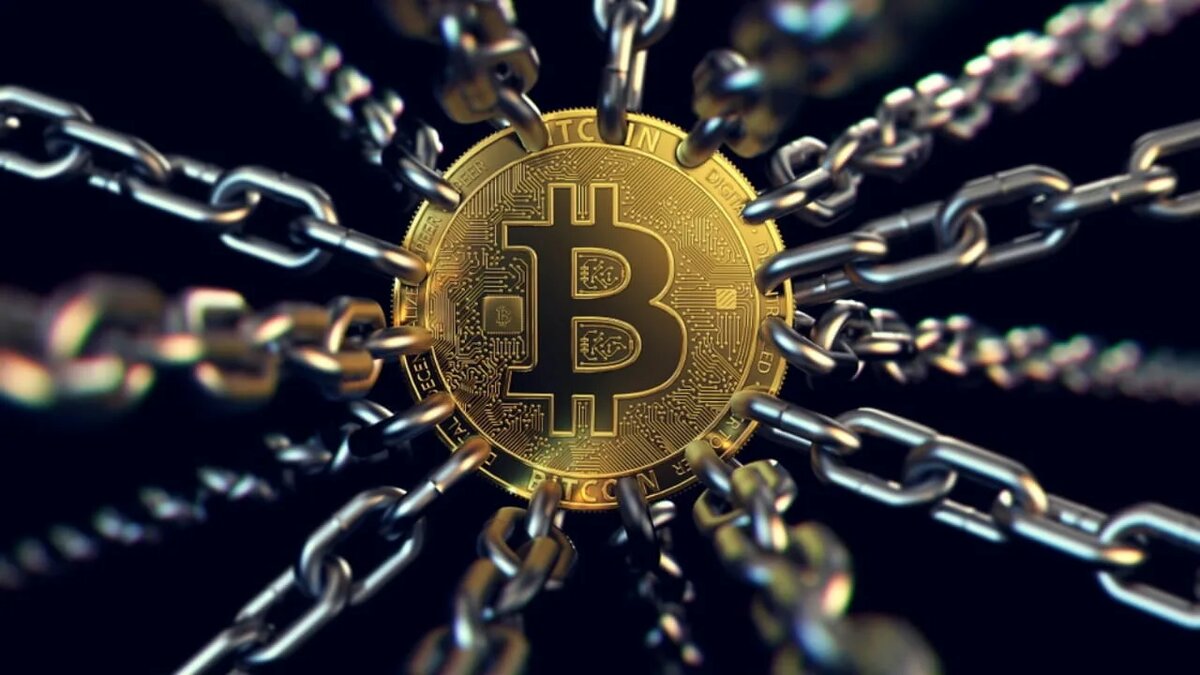 Фотография из яндекс картинок.