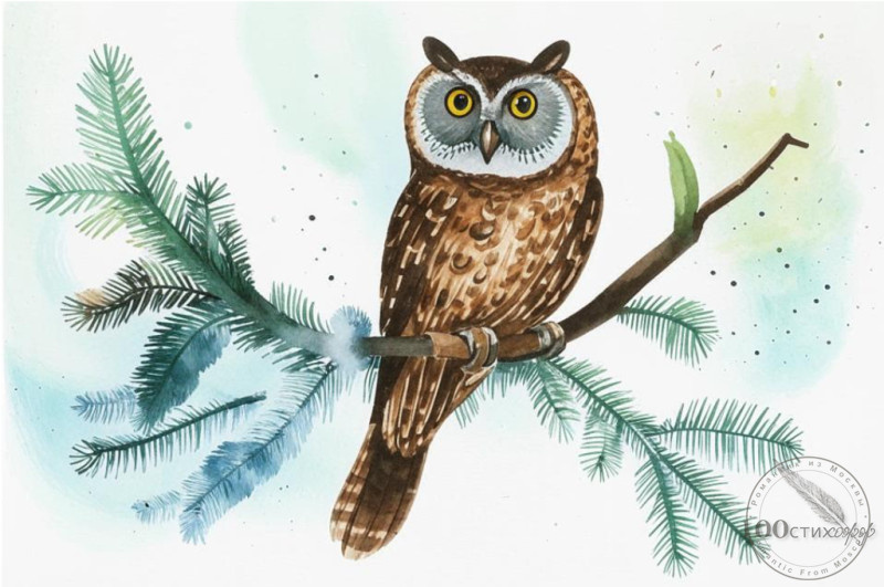 Сова с мудрой головой